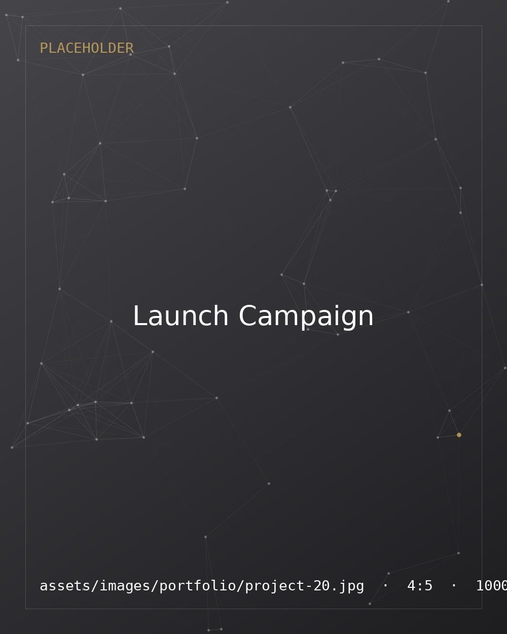 Product Launch Campaign