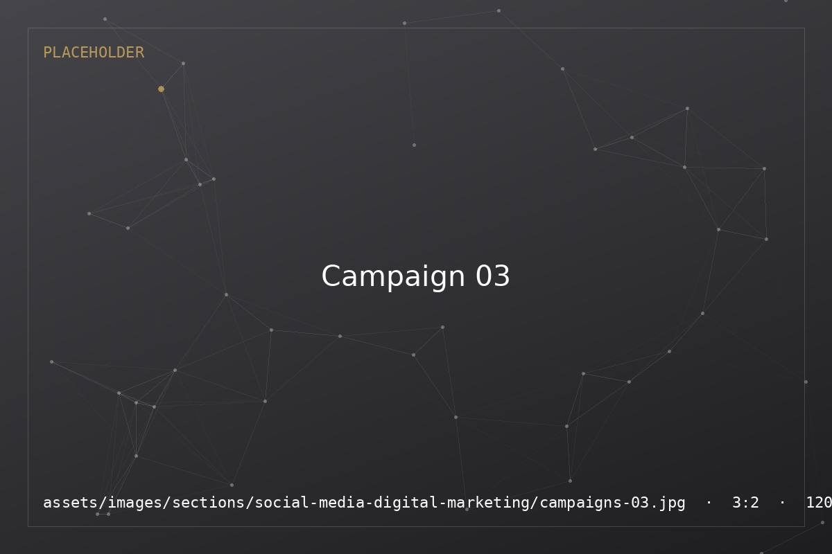 Social Media & Digital Marketing — Campaigns