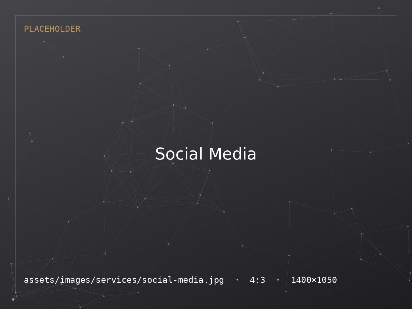 Social Media & Digital Marketing